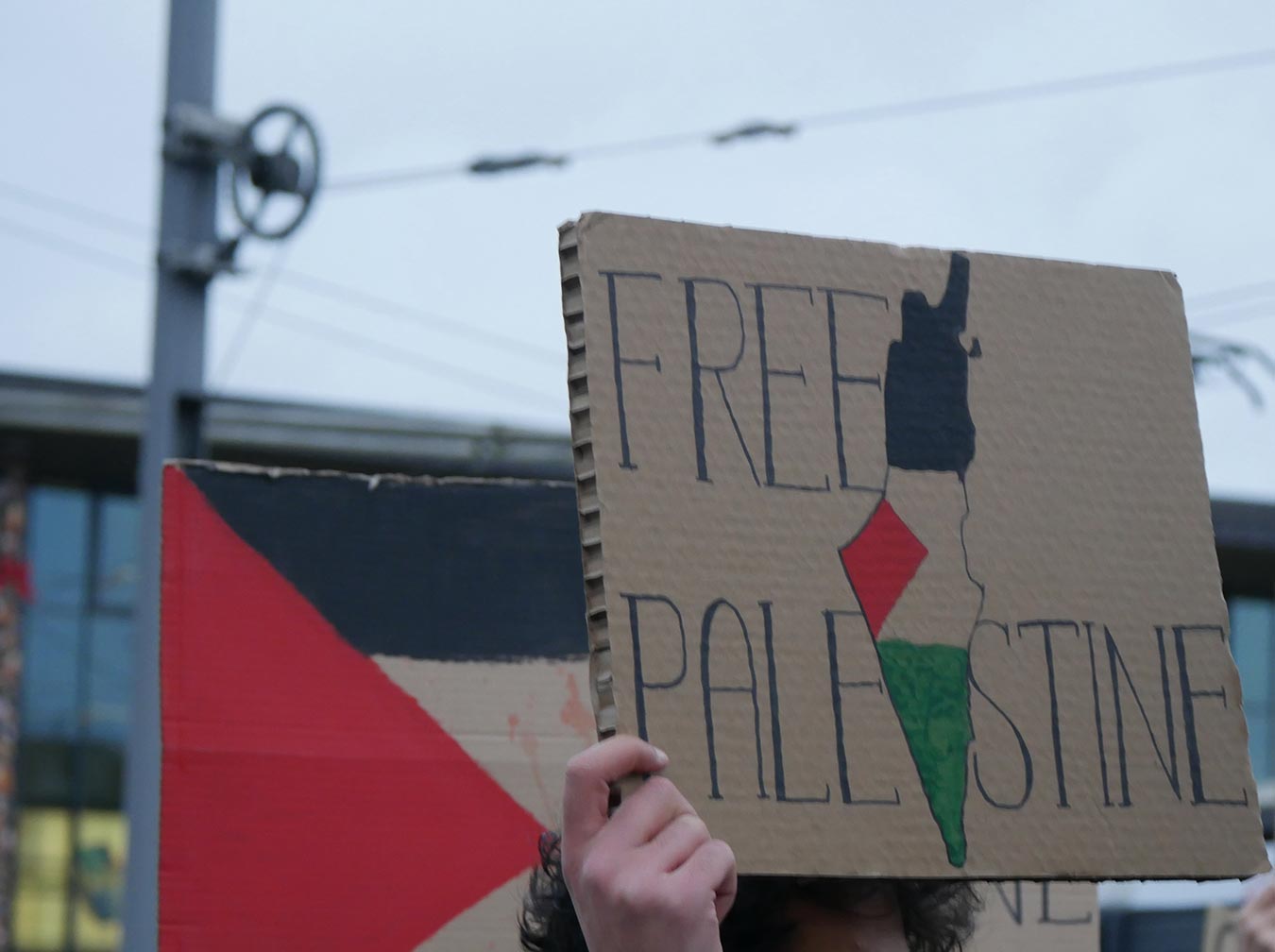 Schild mit der Aufschrift »Free Palestine« und einer Karte Israels, gefüllt mit einer palästinensischen Flagge